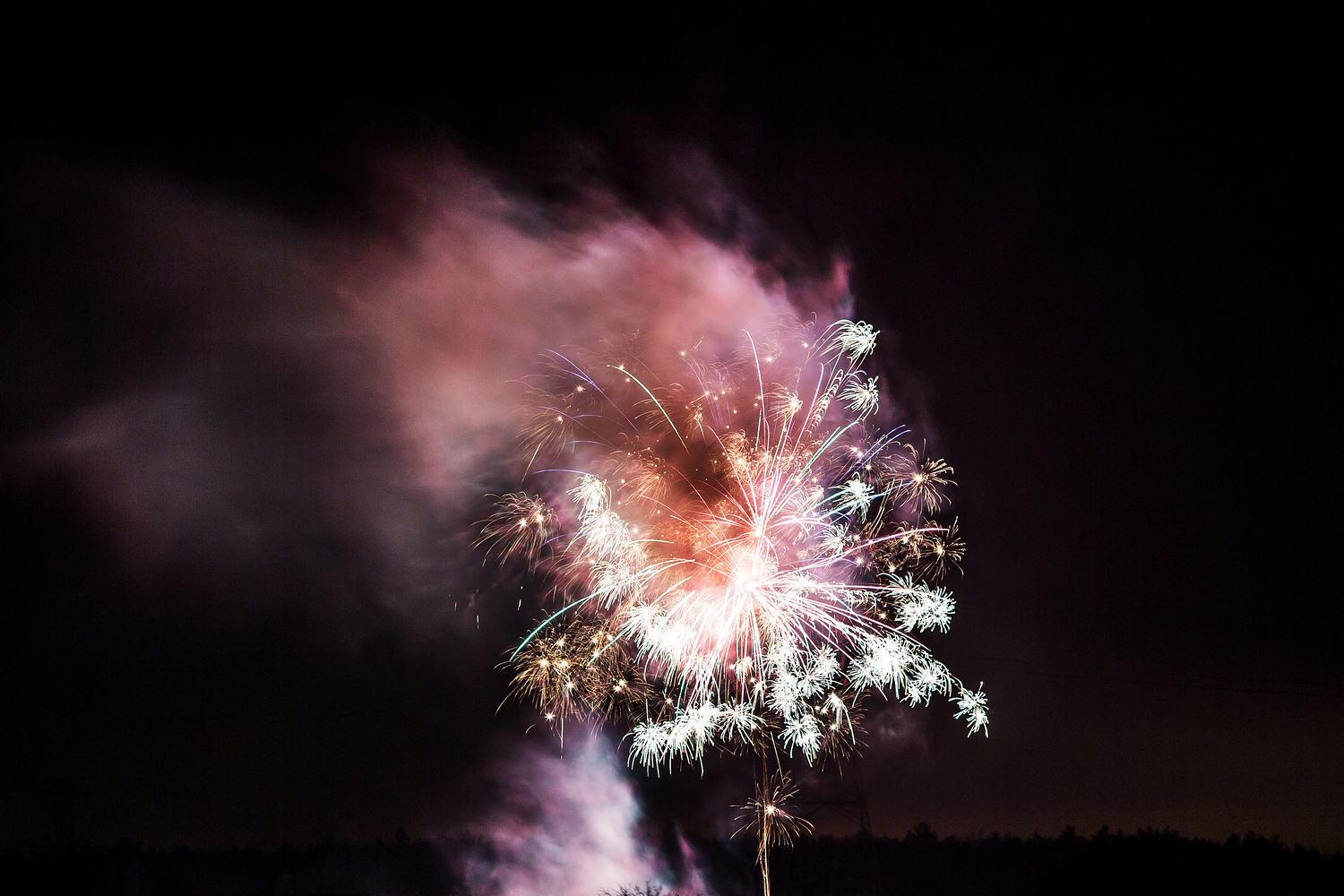 Pierwsze urodziny projektu #WPB