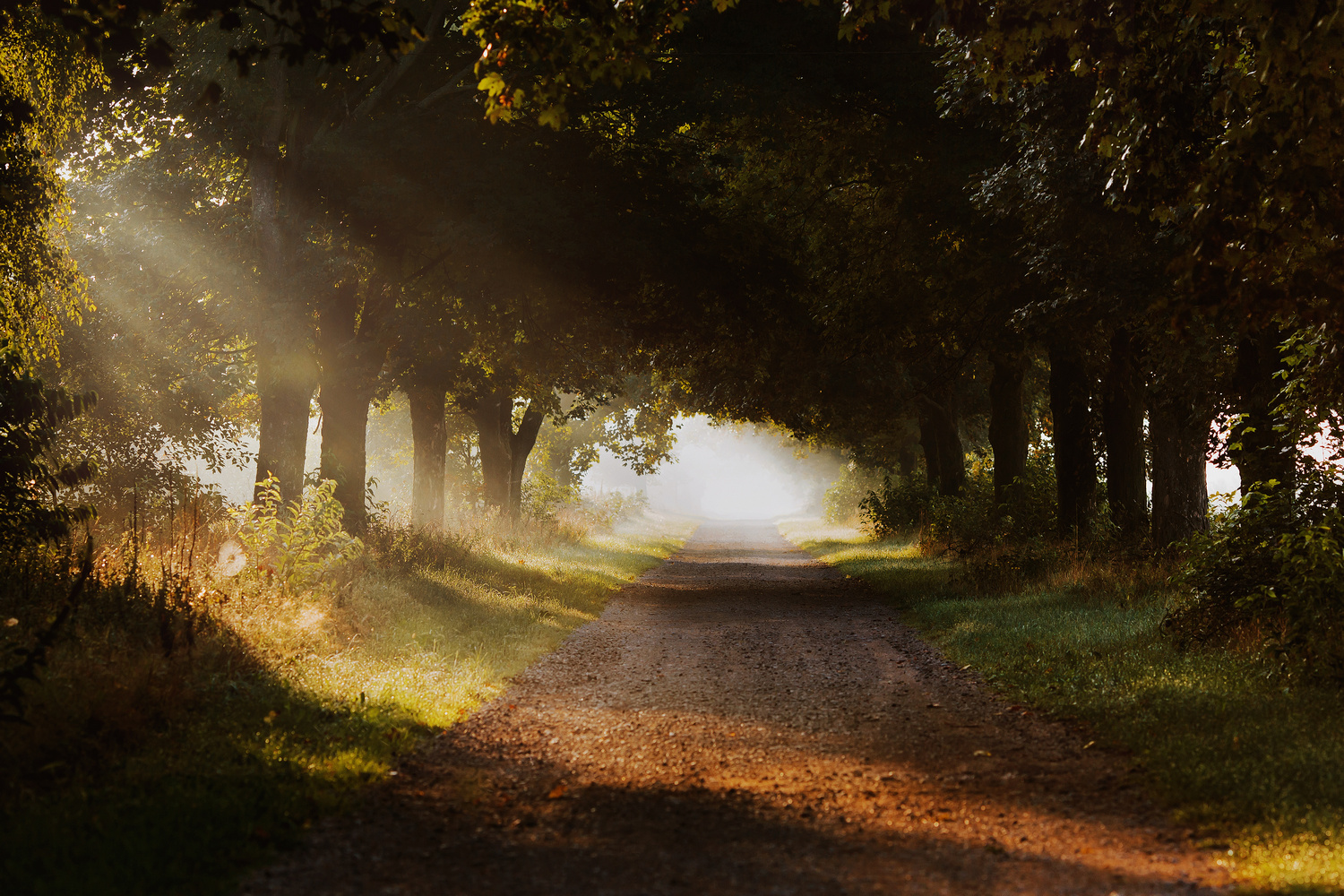 Najlepsze kadry z 2018 roku (TOP 30)