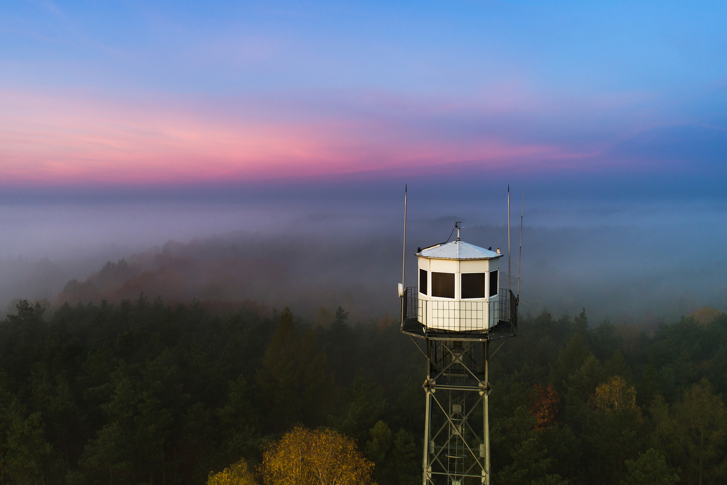 Współpraca z Nadleśnictwem Bełchatów