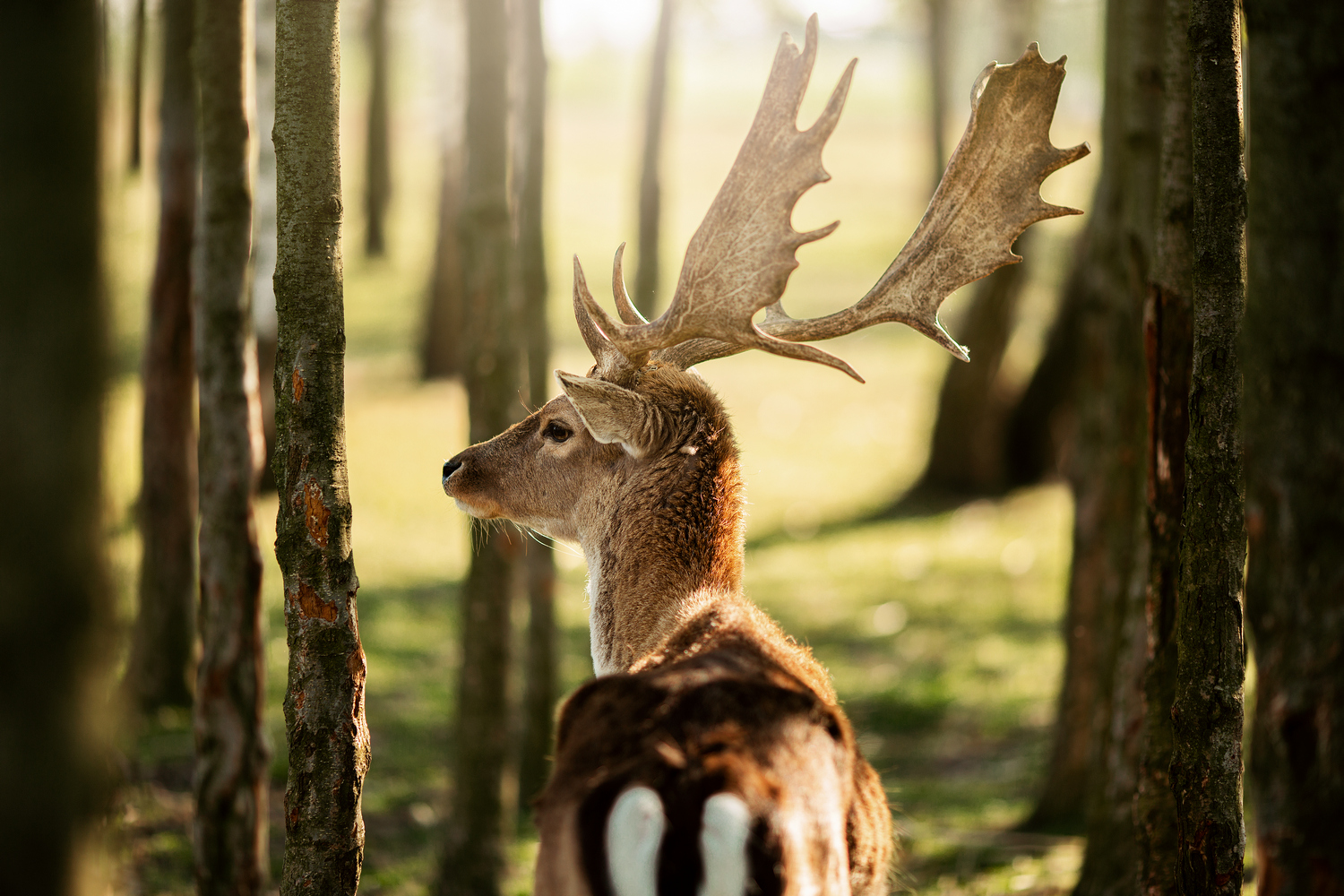 Najlepsze kadry z 2019 roku (TOP 25)