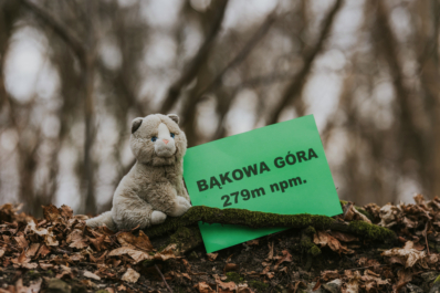 Bąkowa Góra (279m n.p.m.)