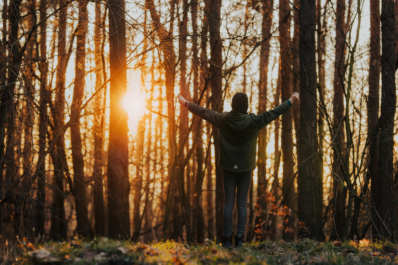 Borowska Góra (276m n.p.m.)