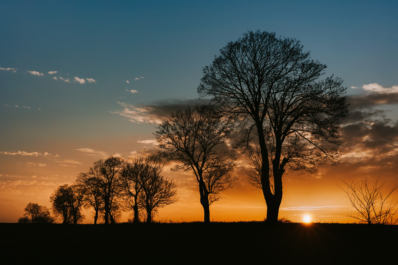 Góra Chełmo (323m n.p.m.)